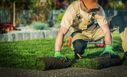 Insurance industry guide: landscape gardeners and tree loppers